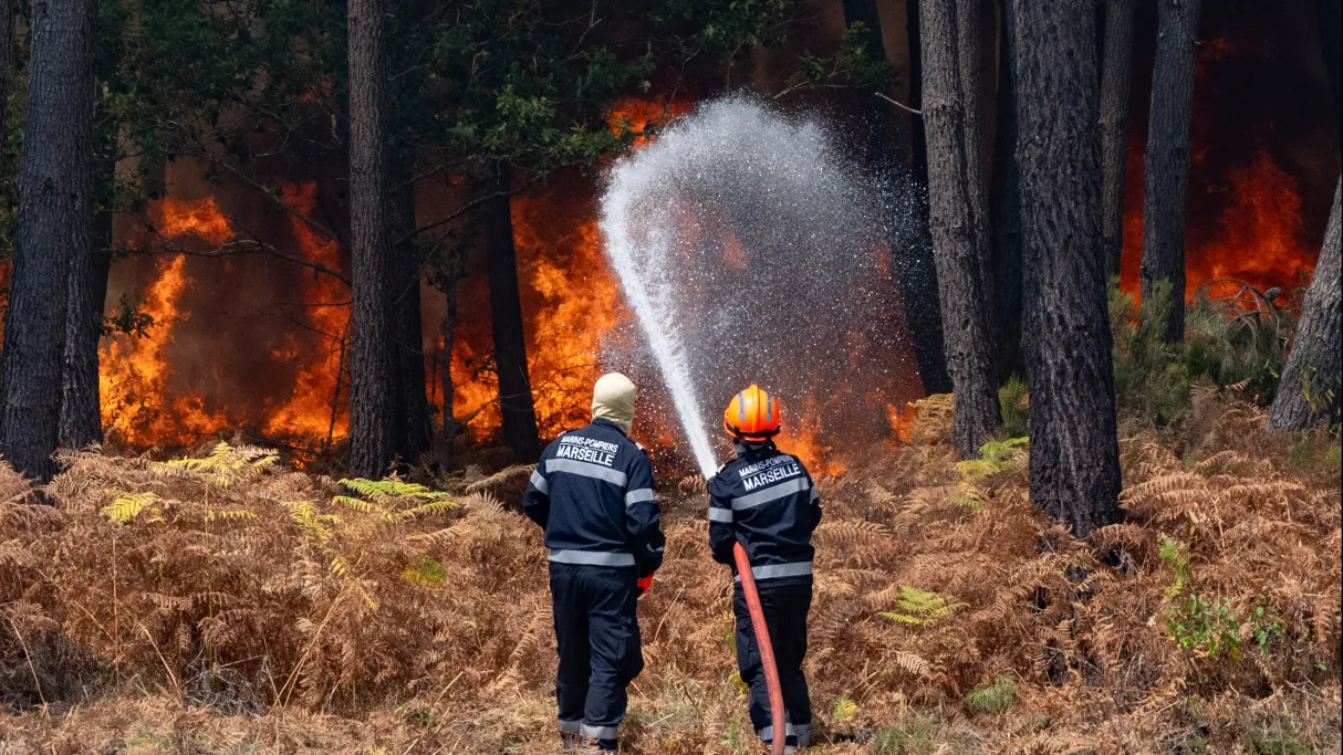 Soirée spéciale Sauvons nos forêts